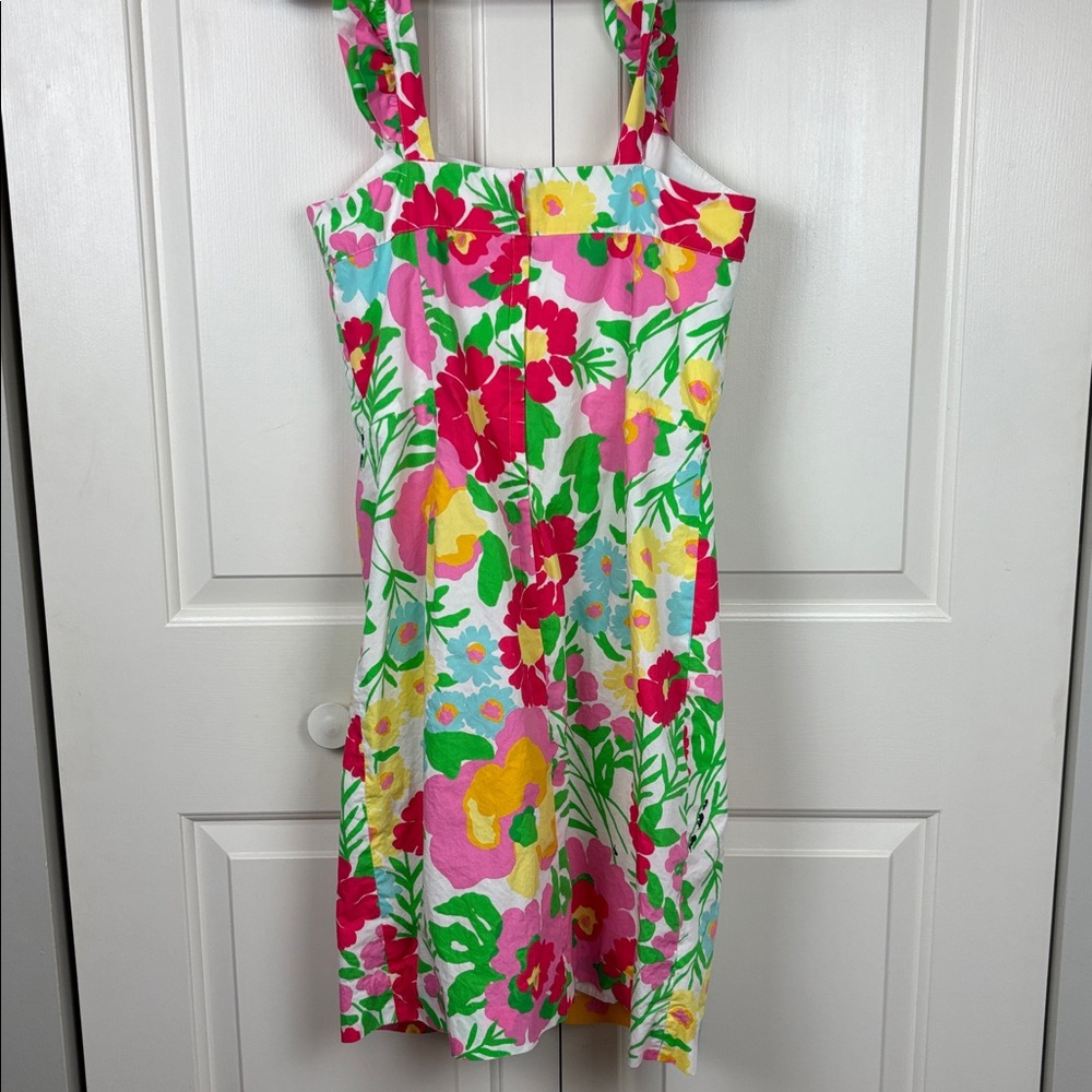 Lilly Pulitzer Floral Ants on Parade Mini Dress with Ruffle Straps - 10 - Picture 8 of 12
